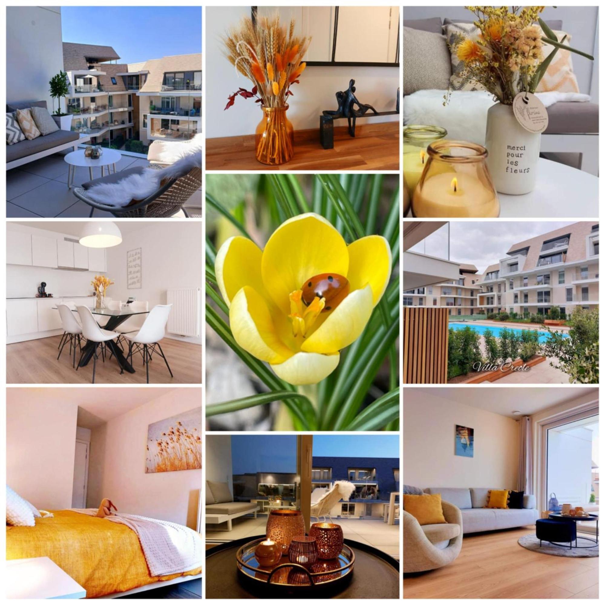 Villa Creole 0308 Luxe Appartement Met Verwarmd Zwembad Nieuwpoort Jachthaven Екстер'єр фото